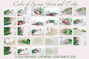 Spring tulip desktop mockup bundle, an Arts & Entertainment Photo by Sound of Color (Thumbnail 10 of 10)