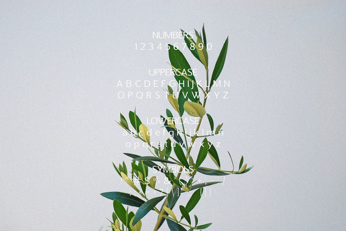 Cyber Font Bundle, a Sans Serif Font by Schrifted Type (Photo 3 of 31)