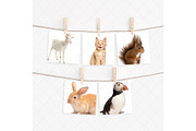 Square cards mockup with clothespins, a Print Template by Dorado Stock (Thumbnail 3 of 3)