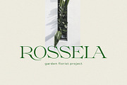 Milssky || Modern & Classy Ligature, a Serif Font by BrandSemut (Thumbnail 5 of 16)