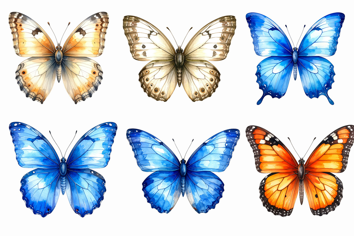 31 Watercolor Butterfly PNG Clipart, an Illustration by Print Haven (Photo 2 of 6)