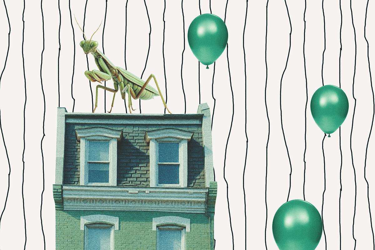 ALL THINGS GREEN: 250 PNG Elements, an Object Graphic by Megan Aili Designs (Photo 15 of 17)