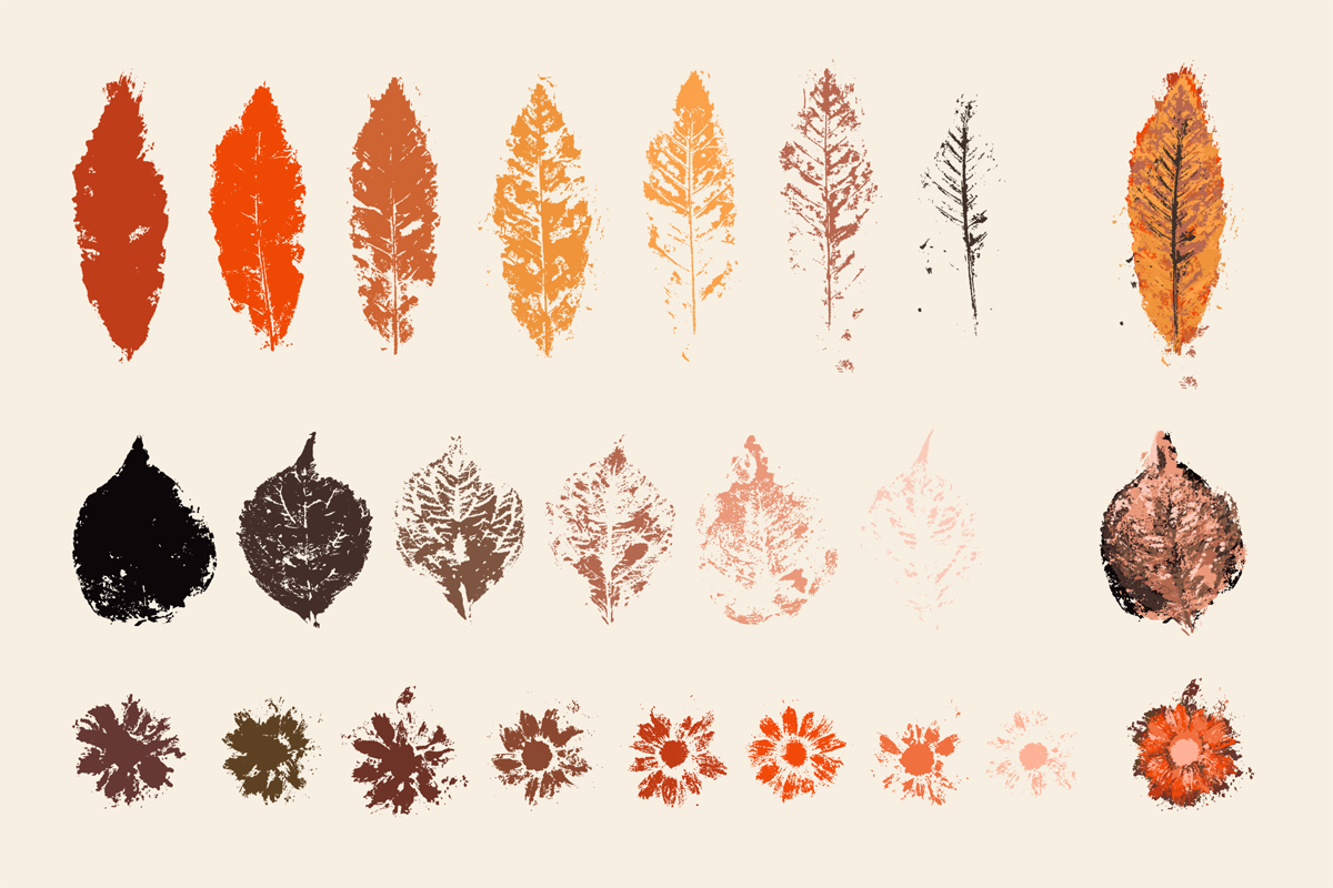 Stamped Prints of Leaves & Flowers, an Object Graphic by Yasir Ekinci (Photo 3 of 14)