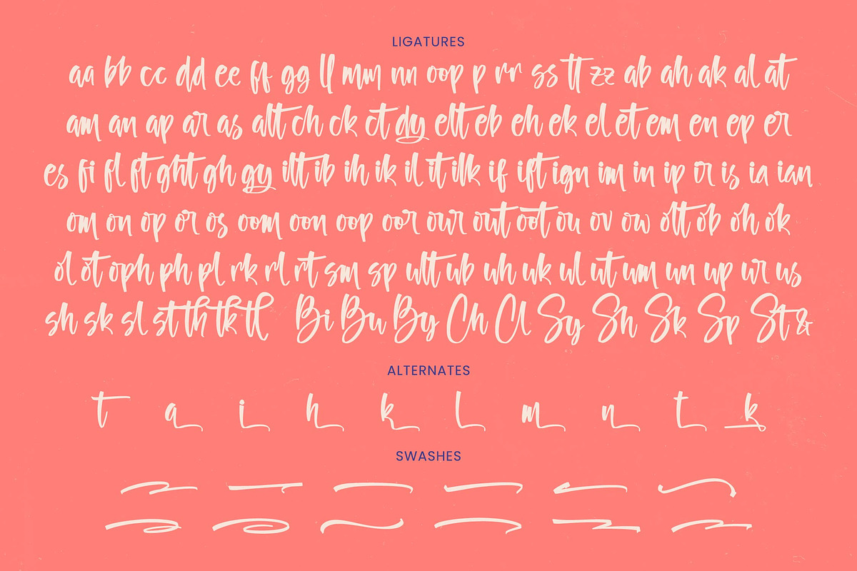 Butany Smooth Modern Brush Font, a Script Font by stylishtype.co (Photo 18 of 20)
