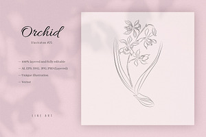 Orchid #25. Line Art Illustration, a Decorative Illustration by lapi-olesya