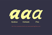 Senteia | Voltaic Brush Typeface, a Serif Font by Pedroglifos (Thumbnail 12 of 12)