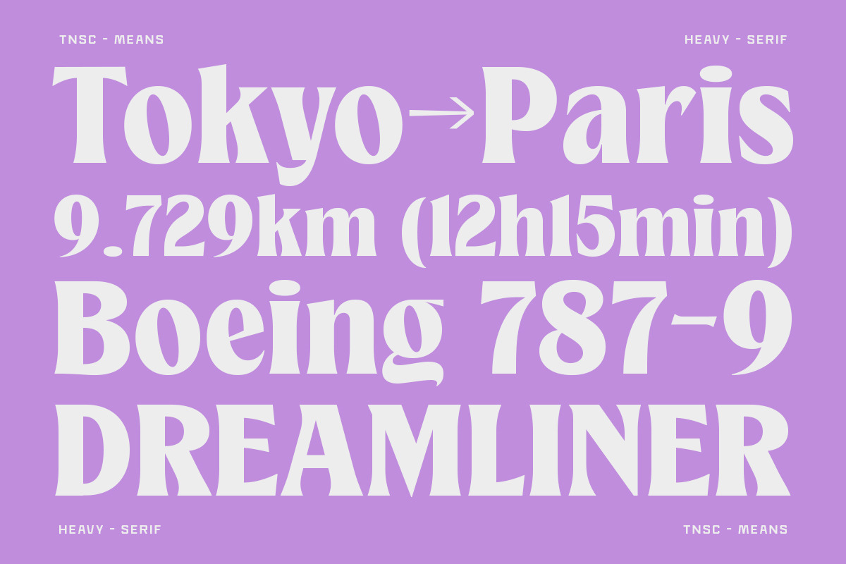 TNSC Means - Heavy Serif, a Serif Font by The Native Saint Club (Photo 7 of 12)