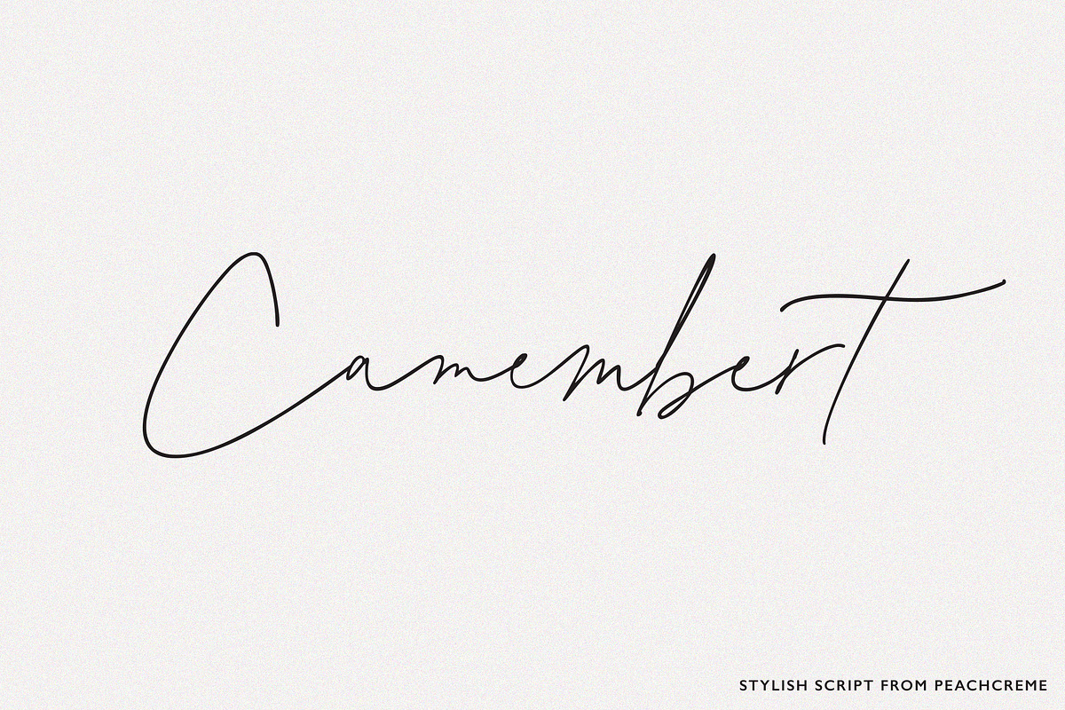 August Roma // Script Font, a Handwritten Font by PeachCreme (Photo 10 of 10)