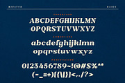The Minatur Typeface, a Serif Font by alit design (Thumbnail 6 of 17)