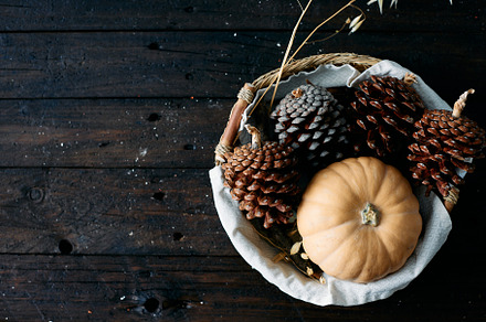 Set of pine cones and holm oak leaves in an esparto basket next to a yellow pum, a Food & Drink Photo by YossSabalet