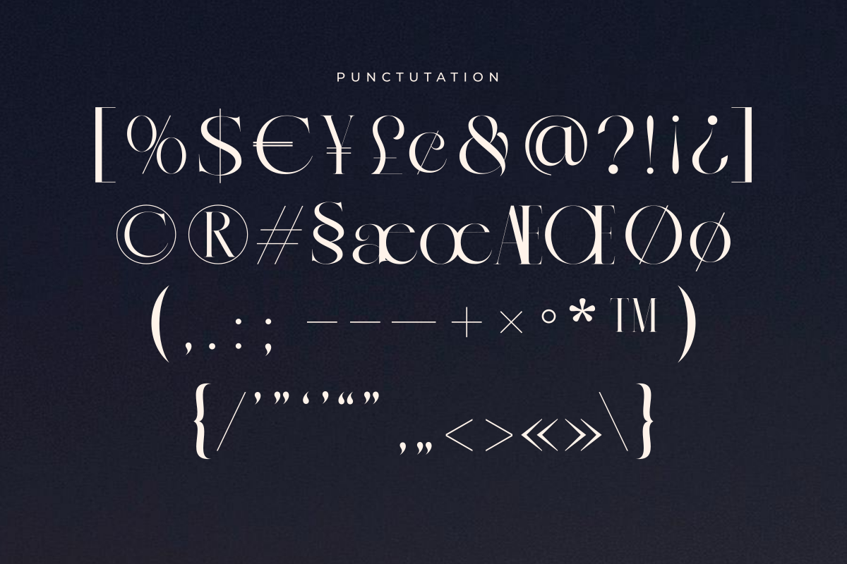 Recheng, a Serif Font by zaaintype (Photo 11 of 12)