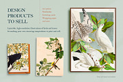 90 Vintage Birds of America, an Illustration by The Object Atlas (Thumbnail 6 of 9)