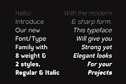 Zagist Font Family, a Sans Serif Font by Patria Ari (P4tcreativa) (Thumbnail 2 of 13)