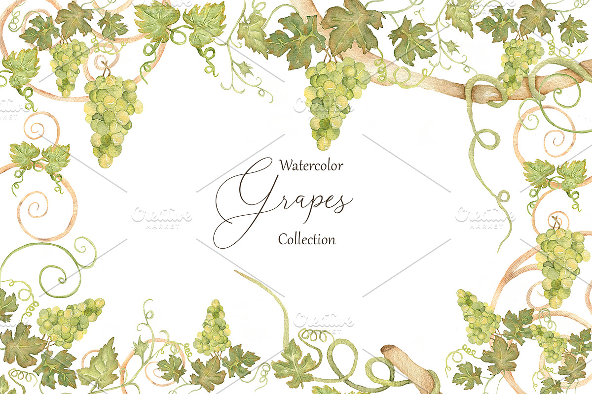 Watercolor Grapes, a Food Illustration by MayaNavits (Photo 1 of 15)