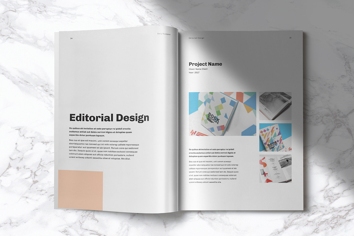 Portfolio Template, a Templates & Theme by StockInDesign (Photo 6 of 8)