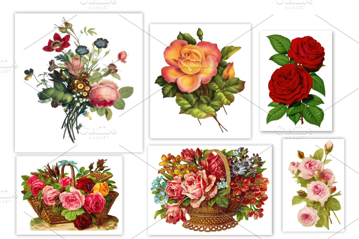 Vintage Decoupage Collection, an Illustration by MDD Designs (Photo 4 of 5)