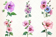 Watercolor Hollyhock Clipart, an Illustration by Libby Wishes (Thumbnail 7 of 12)