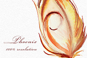 Watercolor Phoenix Clipart Set, an Animal Illustration by ArtCreationsDesign (Thumbnail 5 of 6)