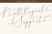August Sterling Beauty Calligraphy, a Script Font by Storytype Studio (Thumbnail 12 of 15)
