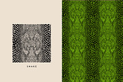 Seamless Animal Print Patterns, a Pattern Graphic by Jaclyn Caris (Thumbnail 10 of 13)