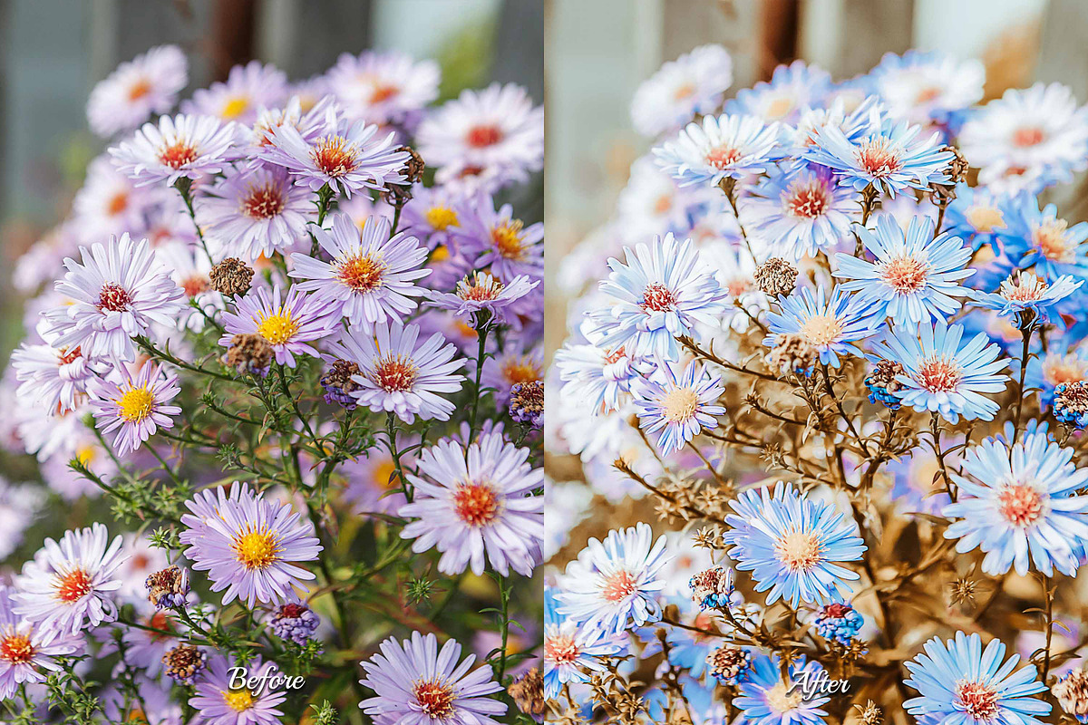 30 Flowers Lightroom Collection, a Preset Add-On by 3Motional (Photo 10 of 11)