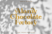 Absolute Borsalino - Serif Font, a Serif Font by Luxima (Thumbnail 15 of 15)