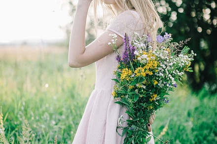 Field with flowers stock photo containing flowers and bouquet