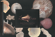 La Maree — Coastal Ephemera, a Background Graphic by nadispasibenko (Thumbnail 1 of 9)