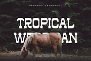 Tropical Wesrican - Western Font, a Slab Serif Font by Iqsiart Studio (Thumbnail 1 of 6)