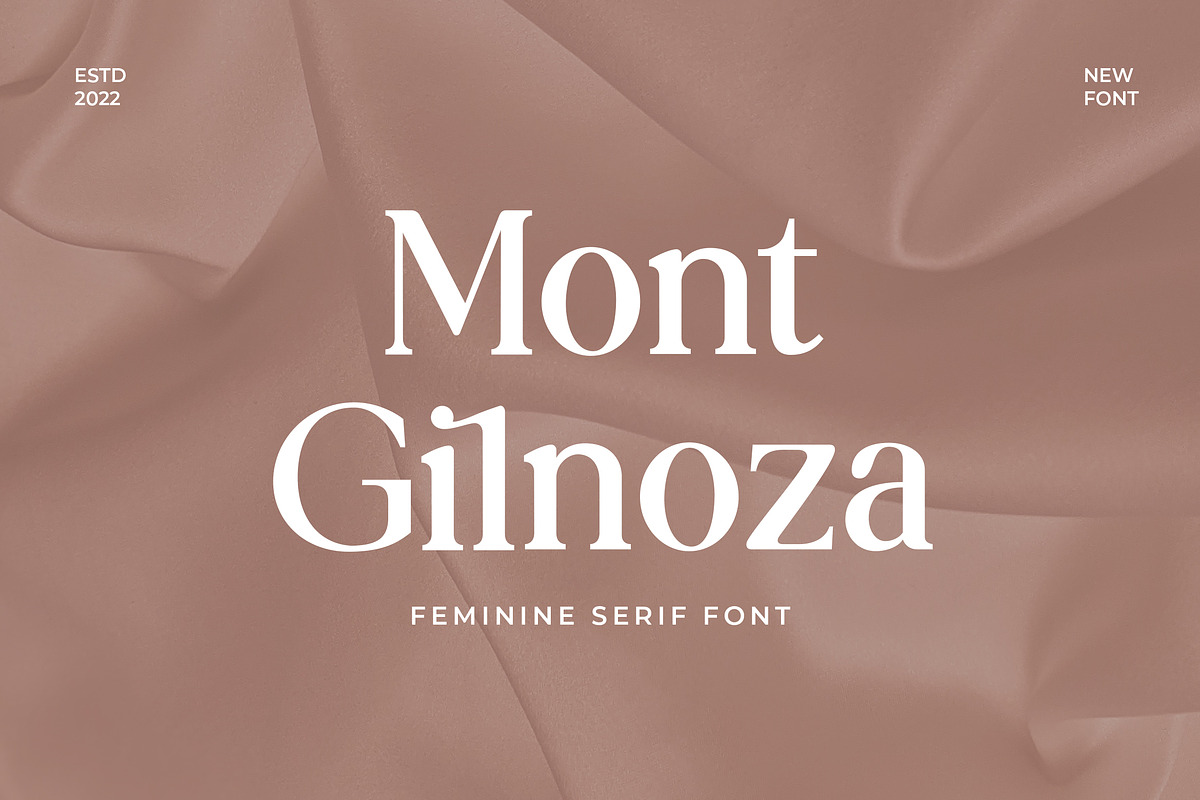 Mont Glinoza Modern Serif Font, a Serif Font by UICreative (Photo 1 of 14)