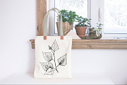 Birch leaf. Sketch and patterns, an Illustration by Canatic (Thumbnail 4 of 10)