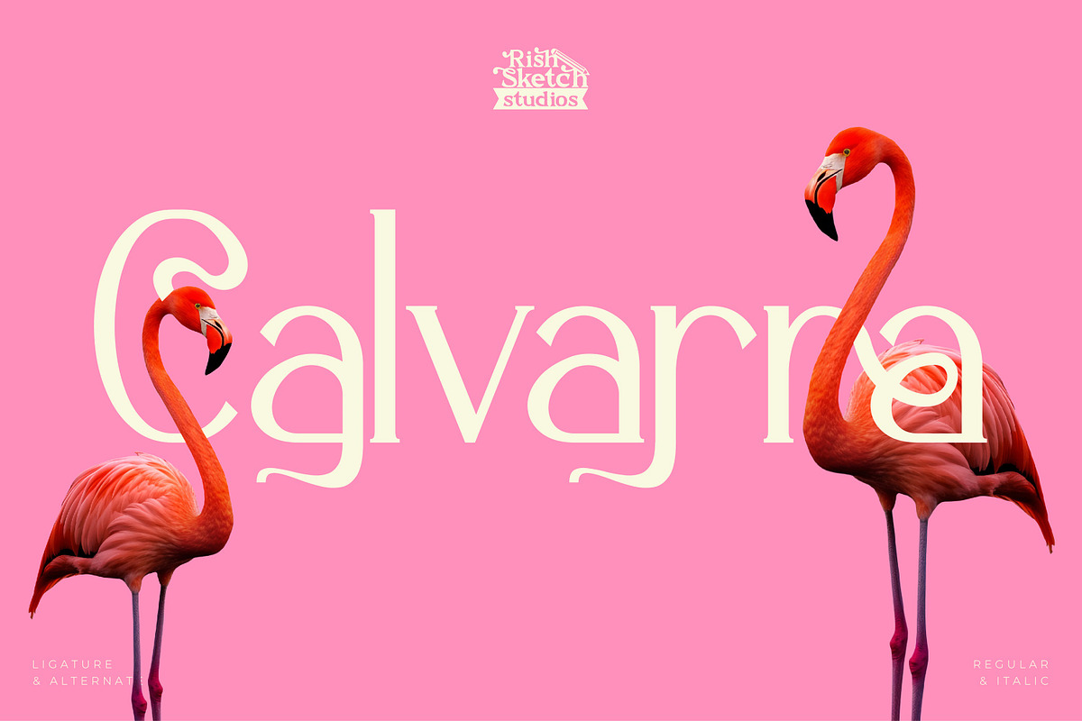 Calvarra - Modern Serif Font, a Serif Font by Rishsketch (Photo 1 of 14)