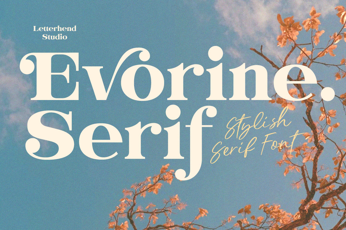 Evorine Stylish Serif, a Serif Font by Letterhend Studio (Photo 1 of 11)