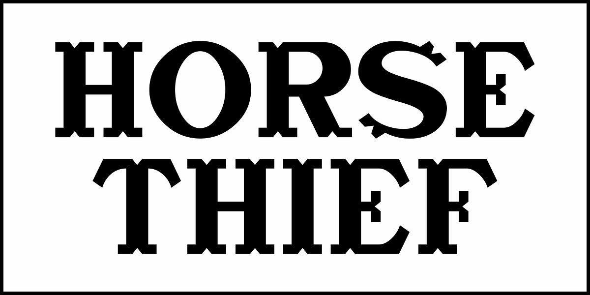 Horse Thief JNL, a Serif Font by Jeff Levine Fonts (Photo 2 of 5)