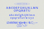 Lumidal - Modern Luxury Serif Font, a Serif Font by Qweera Studio (Thumbnail 12 of 12)