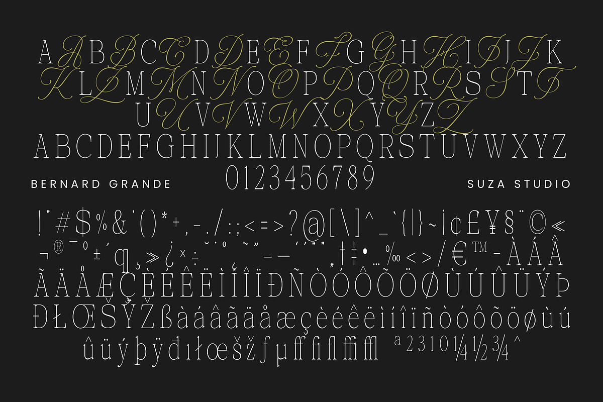 Bernard Grande, a Serif Font by Suza Studio (Photo 12 of 13)