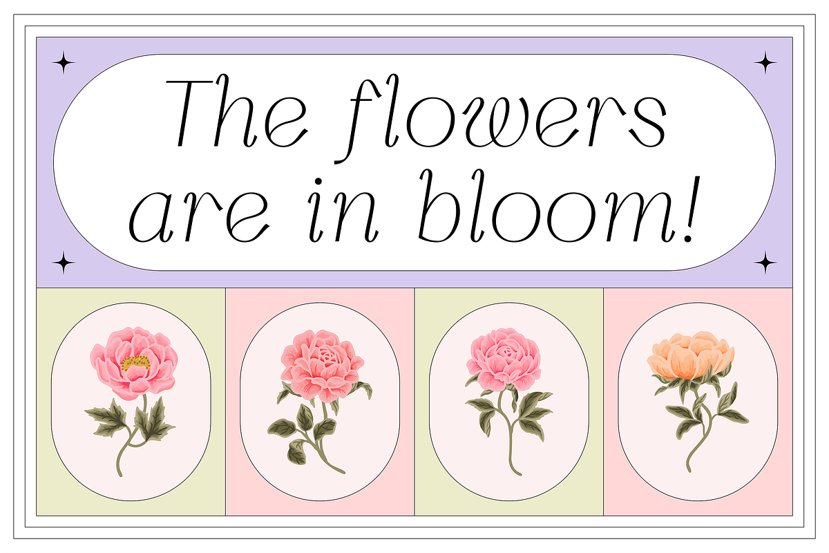 Silkrose - Delicate Display Font, a Sans Serif Font by Artflorara (Photo 8 of 14)