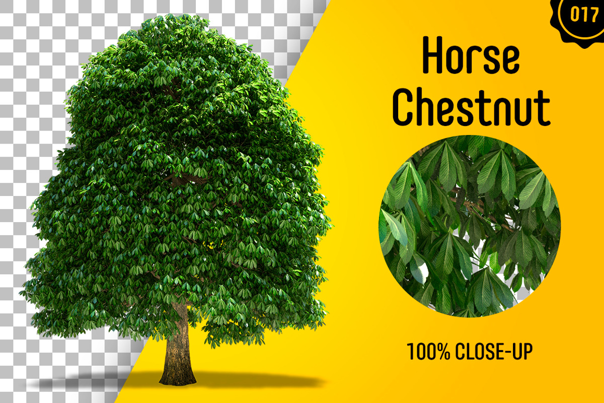 CUT OUT TREES - 60 PCS BUNDLE, a Packaging Mockup by 3DSTORE (Photo 18 of 63)
