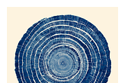 Natt Collection · Organic Tree Rings, a Texture Illustration by milatovar (Thumbnail 18 of 19)