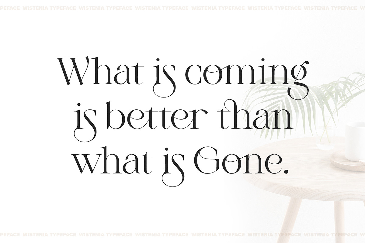 Wistenia Typeface, a Serif Font by Ivan Rosenberg (Photo 2 of 18)