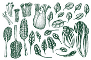 Green Salad Vector Collection, a Food Illustration by Lubov Illustrations Shop (Thumbnail 2 of 7)