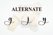 Ginger | Script Font, a Handwritten Font by Scratchones (Thumbnail 8 of 9)