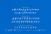 Persistent, a Script Font by Wildan Type (Thumbnail 8 of 10)
