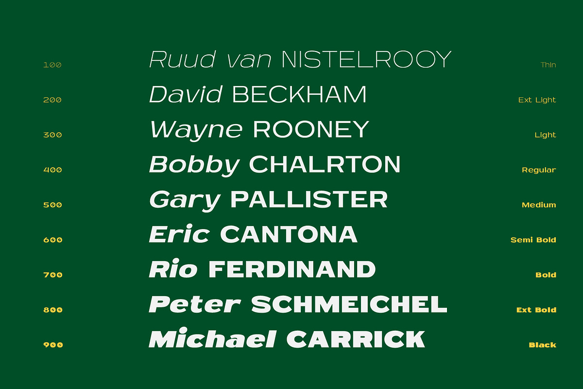MN Newthon - Versatile Variable Font, a Sans Serif Font by Mantra Naga (Photo 4 of 20)