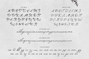 'Le Jardin' Floral Font, a Script Font by AnMark (Thumbnail 10 of 13)