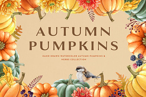 Autumn Pumpkins Watercolor Set