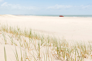 Beach Grass with 4WD, a Nature Photo by THP Creative
