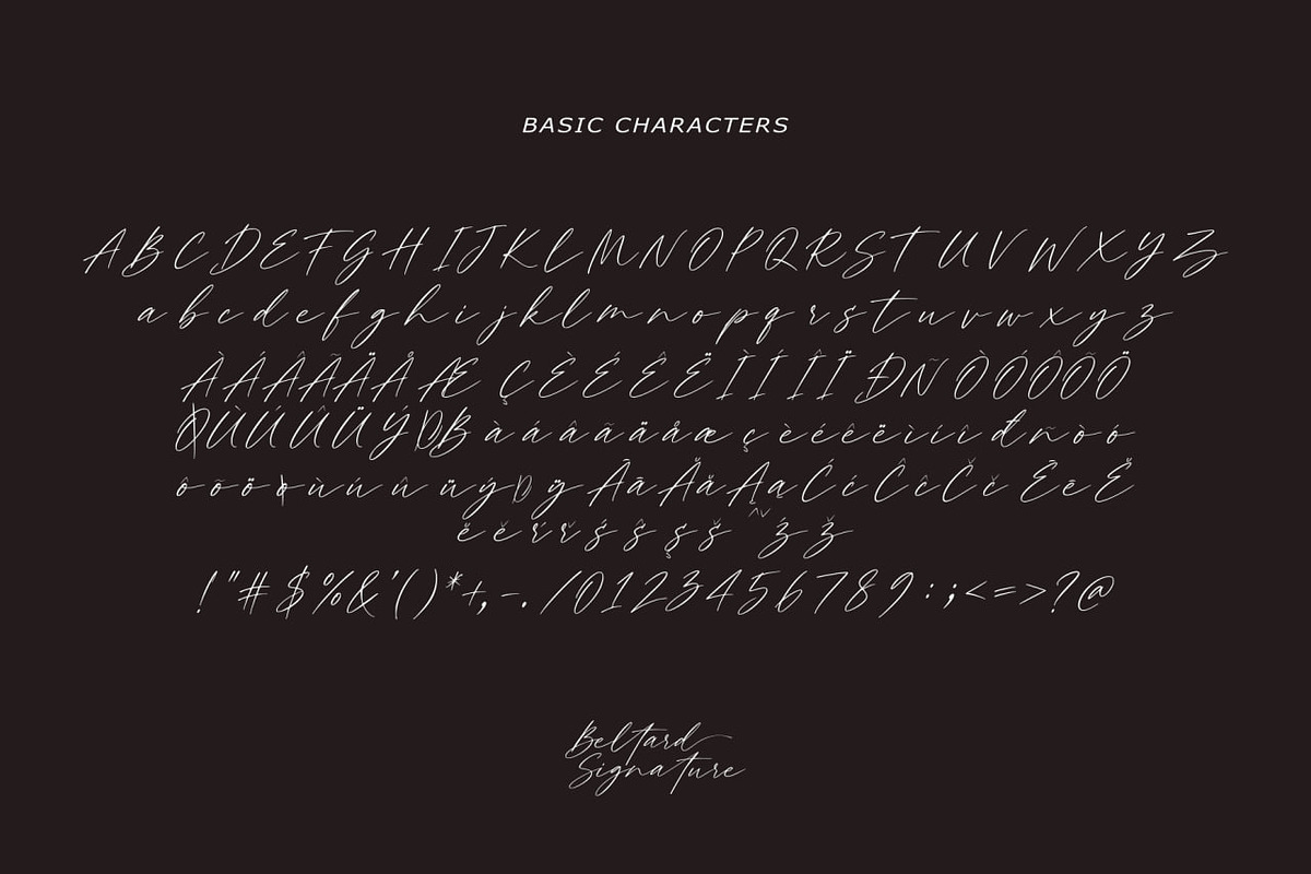 Beltard - Signature font, a Script Font by Majelis Art (Photo 7 of 8)