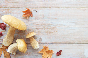 Fresh mushrooms and autumn leaves creating a frame on rustic woo, a Food & Drink Photo by Olena Rudo