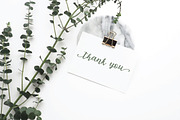 Michelle script with extras, a Script Font by Designwork (Thumbnail 14 of 14)